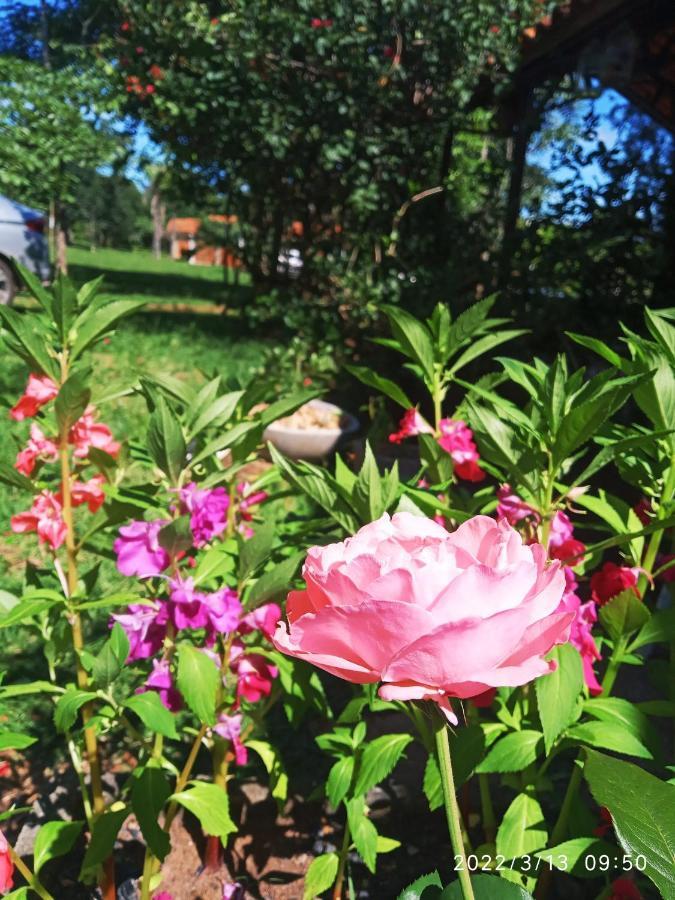 Pousada Carmel Garden Пиренополис Экстерьер фото